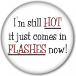 I'm Still Hot It just Comes In Flashes Now